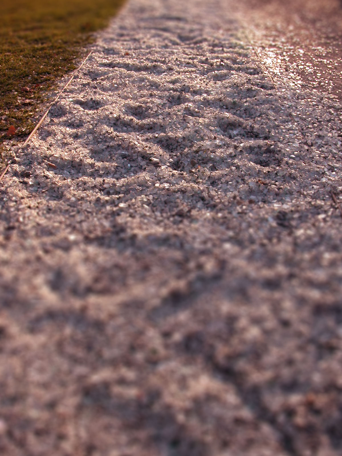 Rubrikfoto f&uuml;r Vorgehensweise
