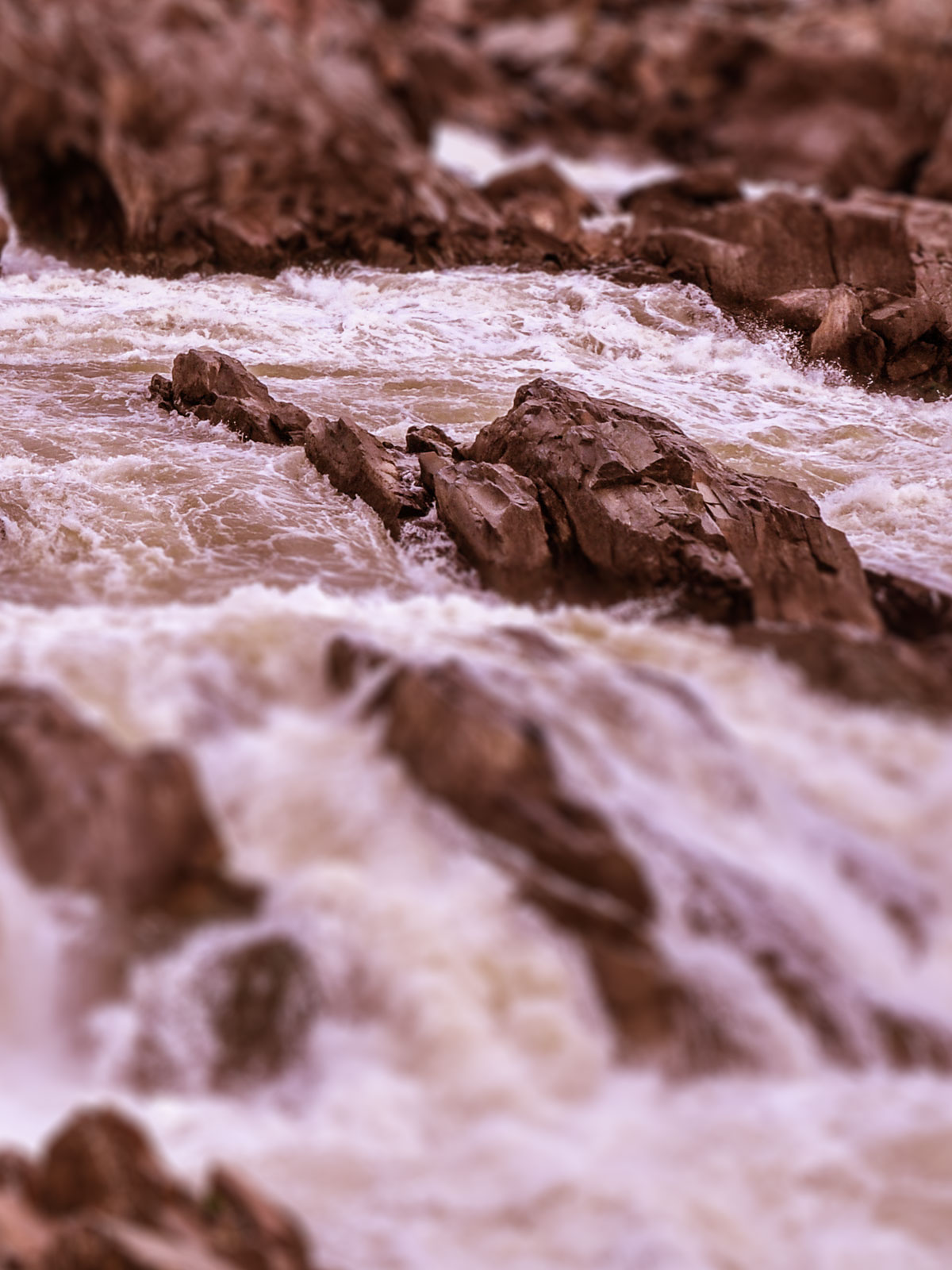 Rubrikfoto f&uuml;r Wandel gestalten